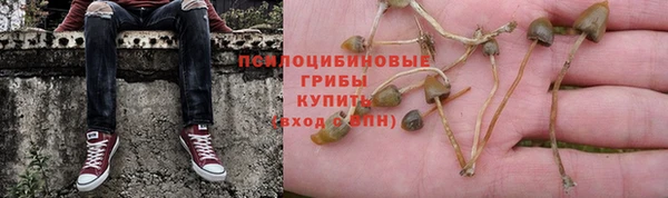 ешки Краснотурьинск