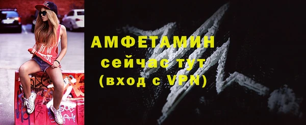 сатива Козельск