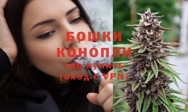сатива Козельск