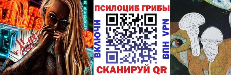 купить  цена  Курчатов  Галлюциногенные грибы ЛСД 